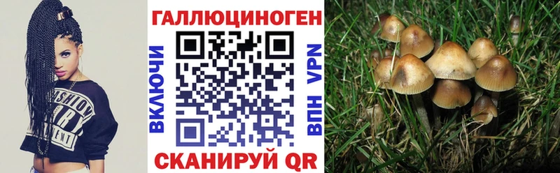 ОМГ ОМГ tor  Волхов  Галлюциногенные грибы Cubensis  магазин продажи  